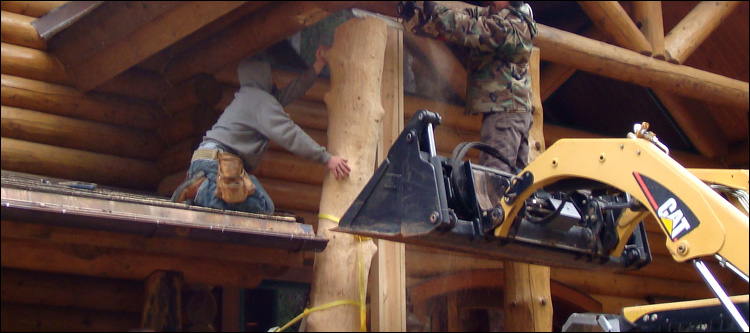 Log Home Log Replacement  Nottoway County, Virginia